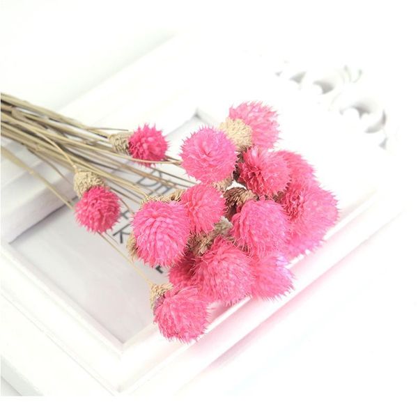15pcs artificial flower strawberrie grass dried flower bouquet handmade for wedding home christmas decoration diy wreat jllkhd
15pcs artificial flower strawberrie grass dried flower bouquet handmade for wedding home christmas decoration diy wreat jllkhd