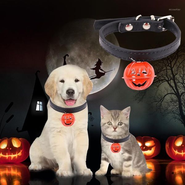 dog collars & leashes halloween easy wear cat collar with pumpkin bell adjustable buckle puppy pet supplies accessories1
dog collars & leashes halloween easy wear cat collar with pumpkin bell adjustable buckle puppy pet supplies accessories1