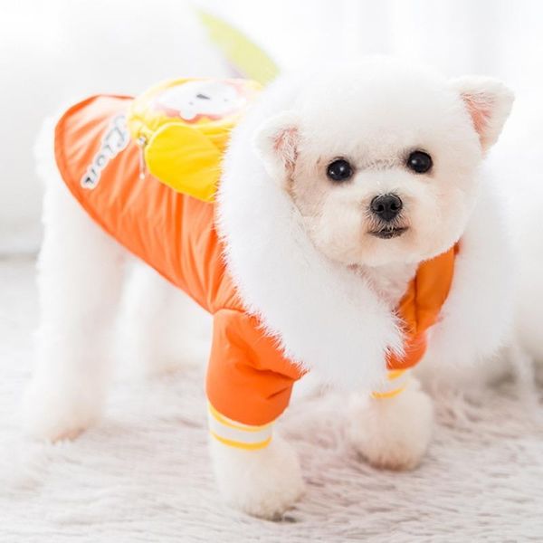 dog apparel *winter warm pet coat jacket for small dogs plush lion clothes cartoon little mythical animal warmth padded
dog apparel *winter warm pet coat jacket for small dogs plush lion clothes cartoon little mythical animal warmth padded
