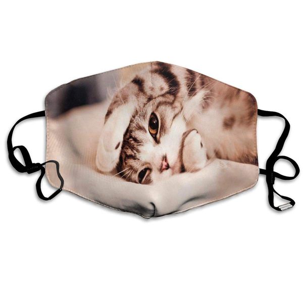 face mask cats cute designer cycling half face earloop nose mask for girls
face mask cats cute designer cycling half face earloop nose mask for girls