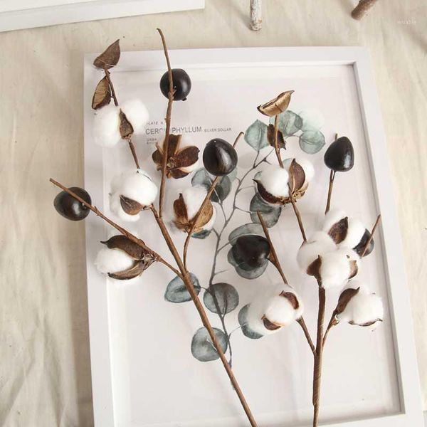 5 head naturally dried cotton flower diy crafting dried fruit rustic decorative home decoration wedding decorations1
5 head naturally dried cotton flower diy crafting dried fruit rustic decorative home decoration wedding decorations1