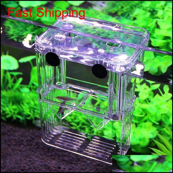 aquarium fish breeding box pet fish tank guppy double breeding breeder rearing hatchery splits fish tank tur qylzih bde_luck
aquarium fish breeding box pet fish tank guppy double breeding breeder rearing hatchery splits fish tank tur qylzih bde_luck