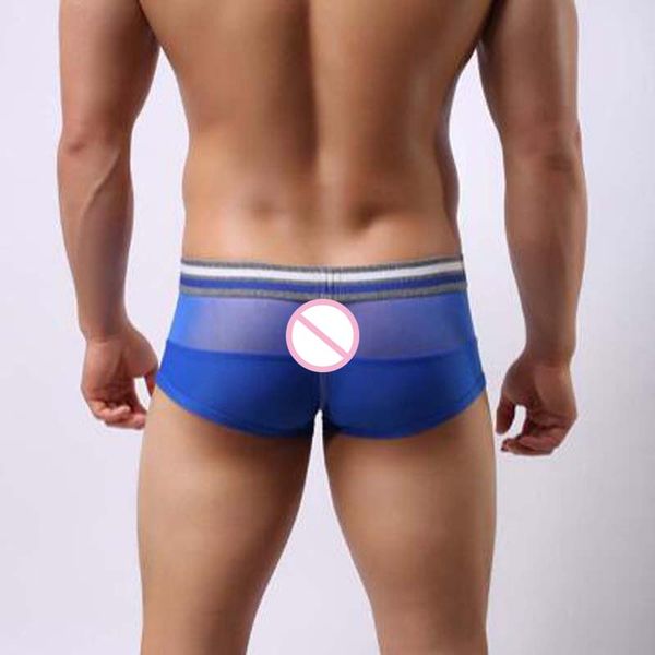 3pieces/lot underwear men boxer shorts breathable mesh transparent mens boxers underpants 3pcs/lot, Black;white
3pieces/lot underwear men boxer shorts breathable mesh transparent mens boxers underpants 3pcs/lot, Black;white