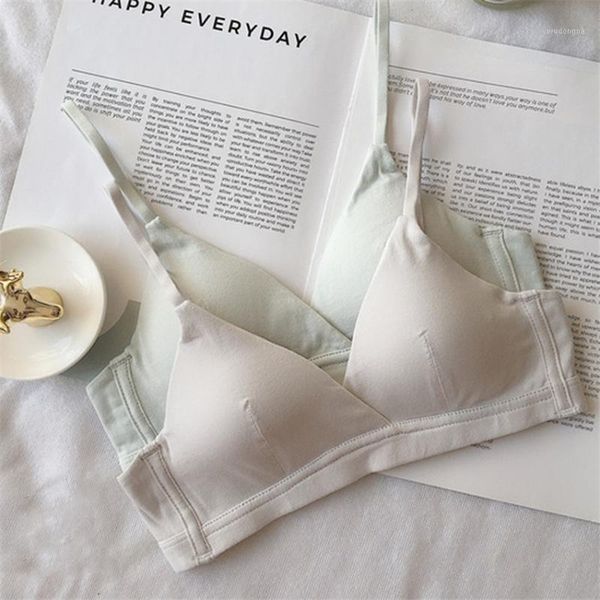 women's bra push up cotton underwear female bras lingerie wireless seamless bra seamless woman a/b/c cup solid color bralette1, Red;black
women's bra push up cotton underwear female bras lingerie wireless seamless bra seamless woman a/b/c cup solid color bralette1, Red;black