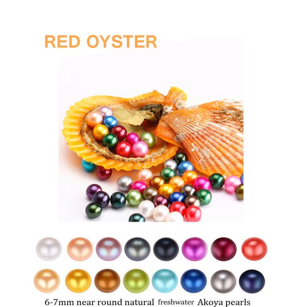 2020 diy new akoya love seawater pearl oyster 6-7mm red shell pearl oyster with vacuum packaging wholesale a-0030, White
2020 diy new akoya love seawater pearl oyster 6-7mm red shell pearl oyster with vacuum packaging wholesale a-0030, White