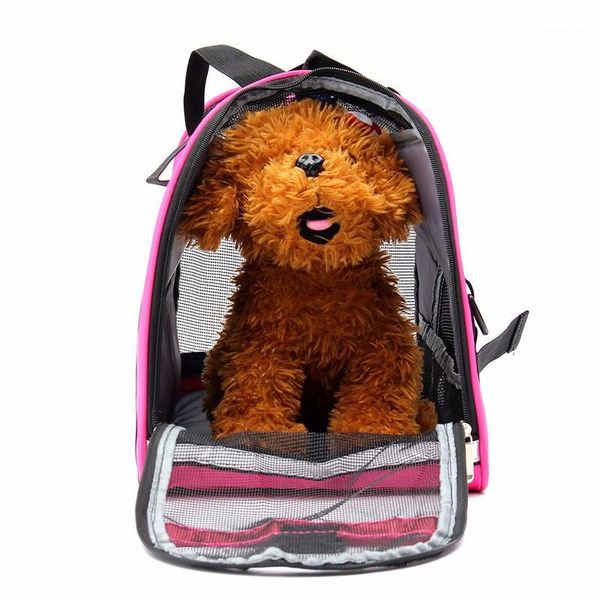 pet bag backpack messenger cat dog waterproof travel outgoing travel packets breathable pet handbag1
pet bag backpack messenger cat dog waterproof travel outgoing travel packets breathable pet handbag1