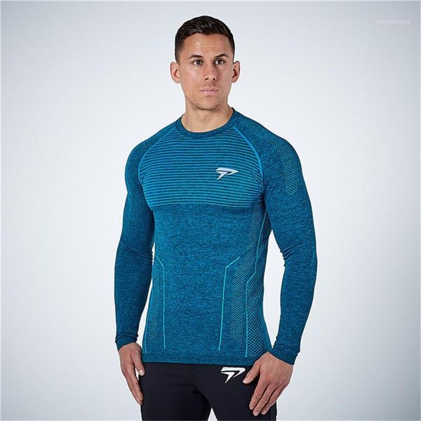 running jerseys 2021 men compression quick dry long sleeve t-shirt man gym fitness t shirt male jogging sports workout tight tees, Black;blue
running jerseys 2021 men compression quick dry long sleeve t-shirt man gym fitness t shirt male jogging sports workout tight tees, Black;blue