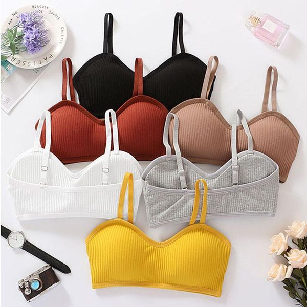seamless bras women wire comfortable beauty back underwear solid color thread gathered bra1, Red;black
seamless bras women wire comfortable beauty back underwear solid color thread gathered bra1, Red;black