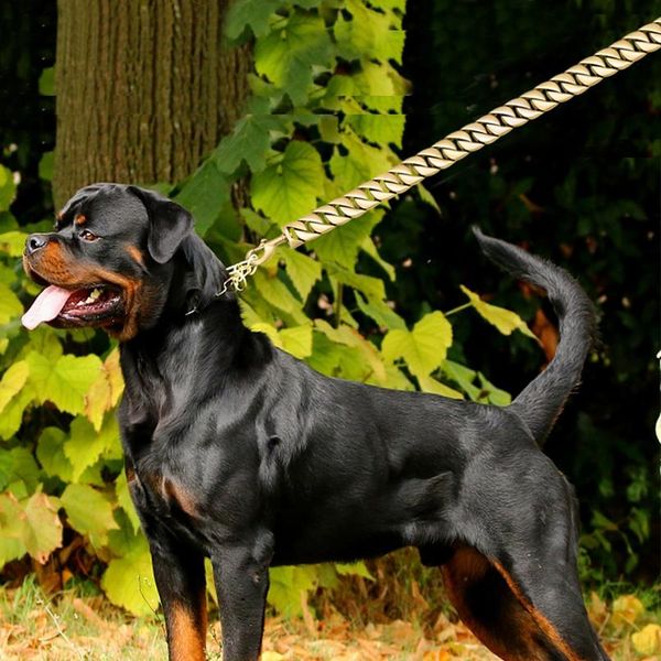 32mm durable stainless steel dog chain leash collar strong pet dog gold silver chain lead for medium large dogs bulldog sqcmdr
32mm durable stainless steel dog chain leash collar strong pet dog gold silver chain lead for medium large dogs bulldog sqcmdr