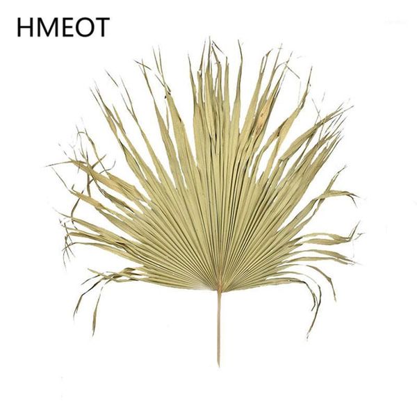 palm fan leaf dried flower natural plants leaves window reception party art wall hanging decoration wedding arch arrangement1
palm fan leaf dried flower natural plants leaves window reception party art wall hanging decoration wedding arch arrangement1