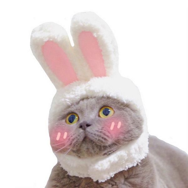 симпатичные собака кошки шляпа шапка крышка кролика мода шляпа для кошек собаки повседневная холст крышка для собак котенка шляпа чихуахуа д
симпатичные собака кошки шляпа шапка крышка кролика мода шляпа для кошек собаки повседневная холст крышка для собак котенка шляпа чихуахуа д