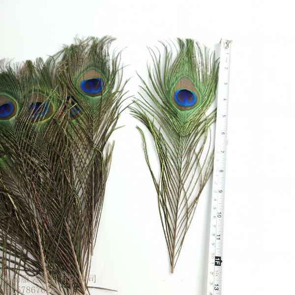 eye 100pcs peacock feather real natural feathers peacock 10-12 inch craft wedding holiday decoration flowers b
eye 100pcs peacock feather real natural feathers peacock 10-12 inch craft wedding holiday decoration flowers b