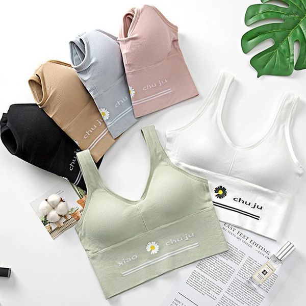women push up bra little daisy deep u back anti-glare wapped pad shockproof sports vest backless underwear #f1, Black;white
women push up bra little daisy deep u back anti-glare wapped pad shockproof sports vest backless underwear #f1, Black;white