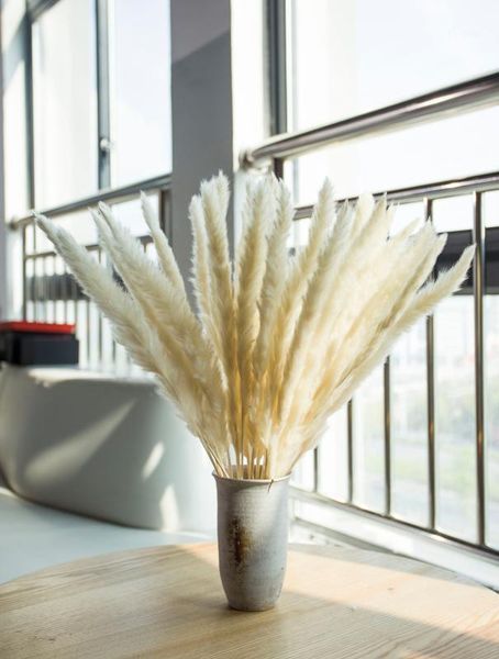 30pcs natural dried pampas grass reed dried flowers natural phragmites communis wedding flower bunch home decor 60cm long1
30pcs natural dried pampas grass reed dried flowers natural phragmites communis wedding flower bunch home decor 60cm long1