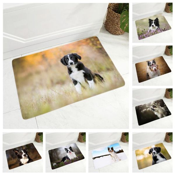 scotland border collie dog doormat decor pet animal floor door mat non-slip soft flannel carpet for hallway kitchen room 40x60cm
scotland border collie dog doormat decor pet animal floor door mat non-slip soft flannel carpet for hallway kitchen room 40x60cm