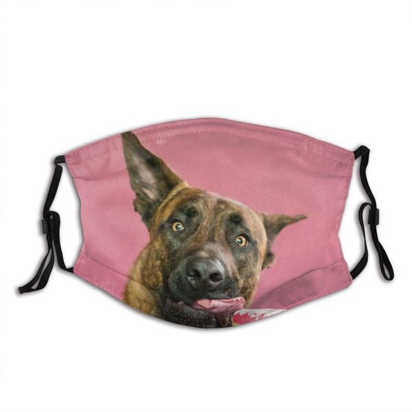 dutch shepherd wants have donut animals wildlife dog face mask with replaceable pm2.5 activated carbon mask for running, traveling, cycling
dutch shepherd wants have donut animals wildlife dog face mask with replaceable pm2.5 activated carbon mask for running, traveling, cycling