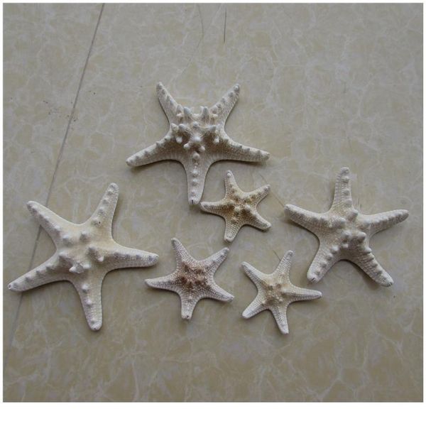 3pcs mediterranean style aquarium natural craft shell artificial sea star fish tankeco ornaments wedding party home qylrmn
3pcs mediterranean style aquarium natural craft shell artificial sea star fish tankeco ornaments wedding party home qylrmn