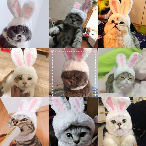 cute pet dog кошка hat cap кролик моды hat for cat собаки повседневный холст cap для собак китти h чихуахуа pet products jllmzm hairjersey
cute pet dog кошка hat cap кролик моды hat for cat собаки повседневный холст cap для собак китти h чихуахуа pet products jllmzm hairjersey