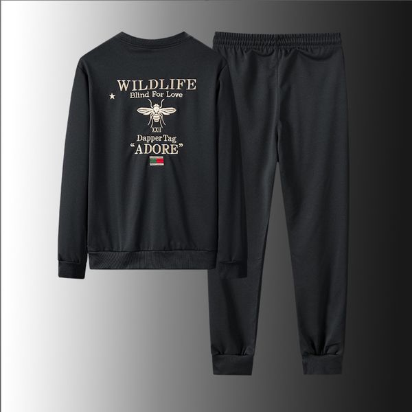 honey spring autumn fashion bee brand sweater trousers two piece suit for young and middle aged men's outdoor sports wear, Gray
honey spring autumn fashion bee brand sweater trousers two piece suit for young and middle aged men's outdoor sports wear, Gray