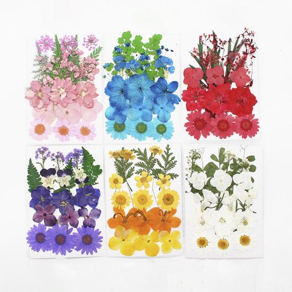 1bag dried flowers uv resin decorative natural floral flower stickers 3d beauty nail art decals epoxy mold diy filling jewelry h jllilb
1bag dried flowers uv resin decorative natural floral flower stickers 3d beauty nail art decals epoxy mold diy filling jewelry h jllilb