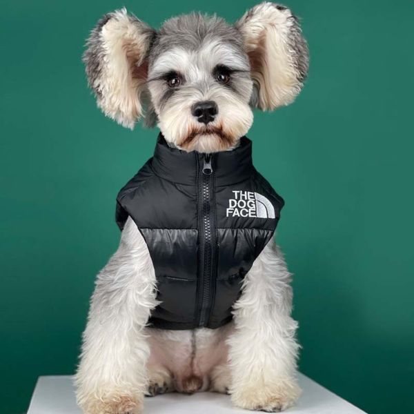dog clothing autumn and winter net red teddy schnery bomecokee pet black thickened warm down vt
dog clothing autumn and winter net red teddy schnery bomecokee pet black thickened warm down vt