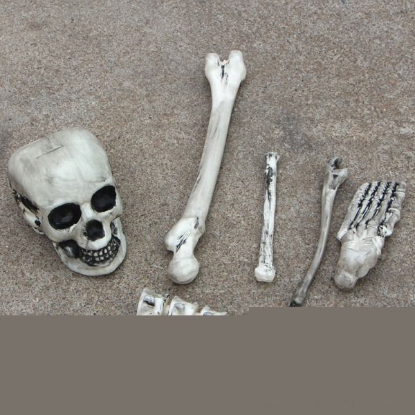 dsyk3 halloween escape skeleton corpse ornaments secret room skull props ghost ornamentsaccessorieshouse prop decoration bloody head horribl
dsyk3 halloween escape skeleton corpse ornaments secret room skull props ghost ornamentsaccessorieshouse prop decoration bloody head horribl