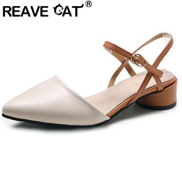 reave cat 2020 female summer heeled sandals pointed toe round heels straight buckle pu size 35-39 apricot leisure party a2939, Black
reave cat 2020 female summer heeled sandals pointed toe round heels straight buckle pu size 35-39 apricot leisure party a2939, Black