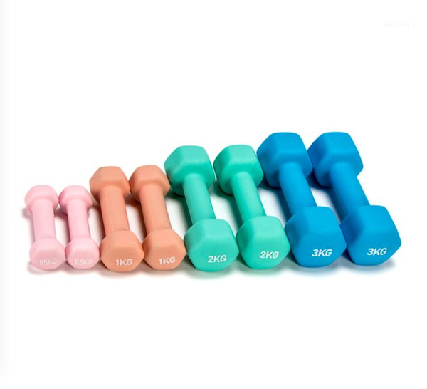 ladies small dumbbell pair 1kg fitness thin arm home 2kg male 5kg hexagonal cast iron child dumbbell1
ladies small dumbbell pair 1kg fitness thin arm home 2kg male 5kg hexagonal cast iron child dumbbell1