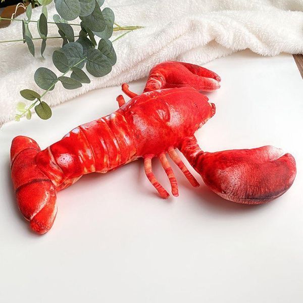 pet 3d crayfish shape cat toy interactive catnip toys stuffed pillow doll simulation fish pet toy electric usb cat toysb1
pet 3d crayfish shape cat toy interactive catnip toys stuffed pillow doll simulation fish pet toy electric usb cat toysb1