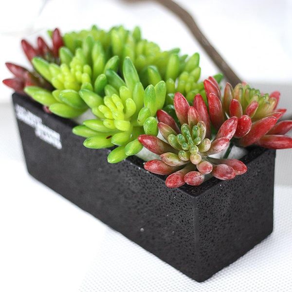 artificial green succulent grass plants bonsai for garden christmas home room store decoration plastic fake flowers craft
artificial green succulent grass plants bonsai for garden christmas home room store decoration plastic fake flowers craft