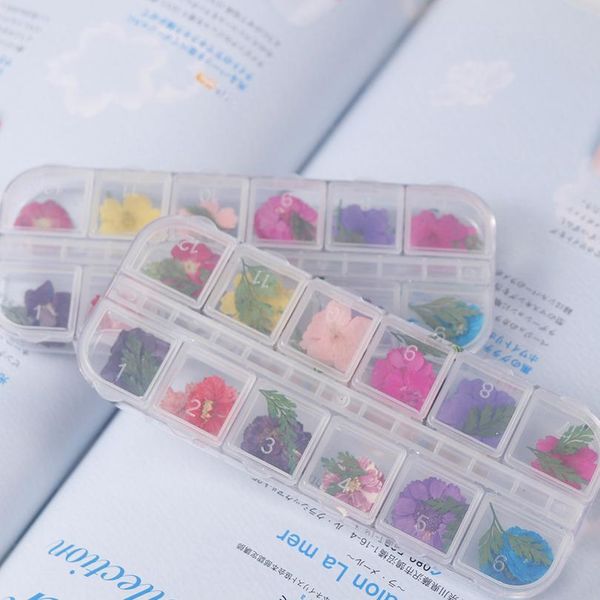 japanese dried flowers 12 petals real flower eternal flower p therapy crystal box for uv resin epoxy mold de bbykrv
japanese dried flowers 12 petals real flower eternal flower p therapy crystal box for uv resin epoxy mold de bbykrv