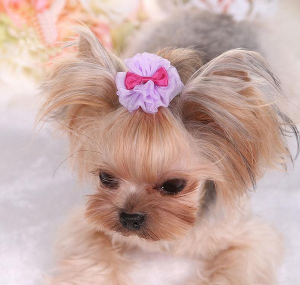 flower vision pet dog hairpin set teddy poodle dog clip set hair accessories hairpin pet wedding headdress pets h jllxjk jhhome
flower vision pet dog hairpin set teddy poodle dog clip set hair accessories hairpin pet wedding headdress pets h jllxjk jhhome