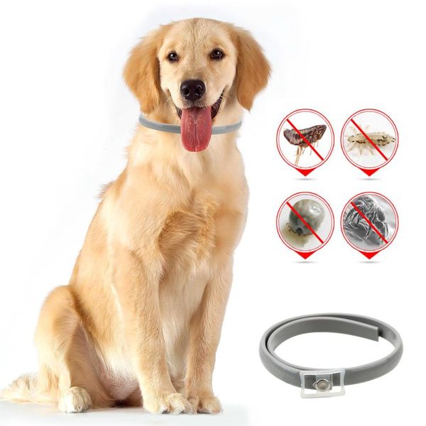 necklace 63/38cm waterproof pet dog collar pet accessories anti flea ticks mosquitoes outdoor protective adjustable cat collar
necklace 63/38cm waterproof pet dog collar pet accessories anti flea ticks mosquitoes outdoor protective adjustable cat collar