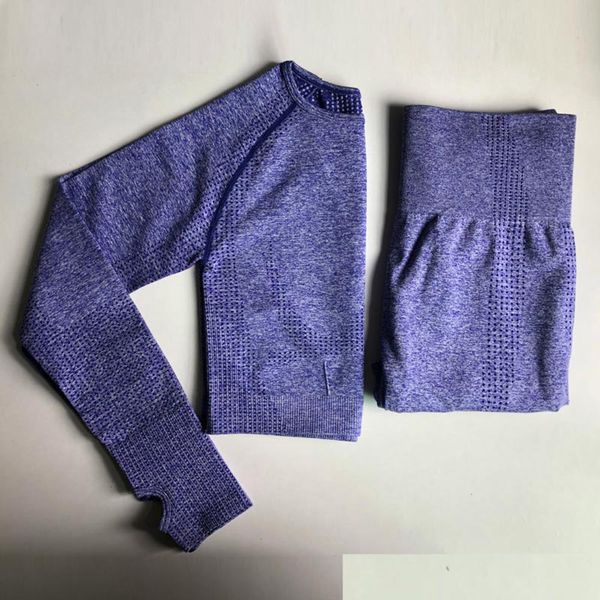 ombre seamless 2 piece set women sport suit gym workout clothes long sleeve fitness crop and scrunch butt leggings yoga set c0122, Gray
ombre seamless 2 piece set women sport suit gym workout clothes long sleeve fitness crop and scrunch butt leggings yoga set c0122, Gray