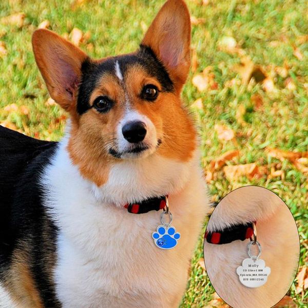customized engraved dog id tag personalized bone paw shape pet cat nameplate pink blue rhinestone pets name tags sqcevu
customized engraved dog id tag personalized bone paw shape pet cat nameplate pink blue rhinestone pets name tags sqcevu