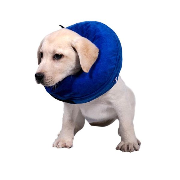 dog collars & leashes pet protective inflatable collar soft comfortable washable recovery cat e-collar puppy protection head cone
dog collars & leashes pet protective inflatable collar soft comfortable washable recovery cat e-collar puppy protection head cone