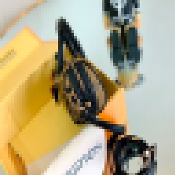 exclusive real sboston bag, mini pillow bag, accessories, all-purpose bag