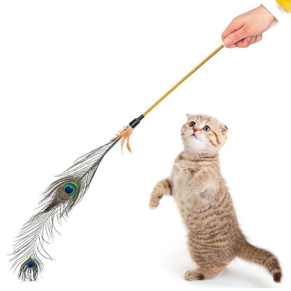 cat toys pet feather toy bells cute design wire teaser wand plastic play for interactive fun1
cat toys pet feather toy bells cute design wire teaser wand plastic play for interactive fun1