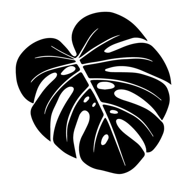 15.8x16.5cm nature tropical leaf fashion car decorative scratches stickers vinyl decal c25-1307
15.8x16.5cm nature tropical leaf fashion car decorative scratches stickers vinyl decal c25-1307