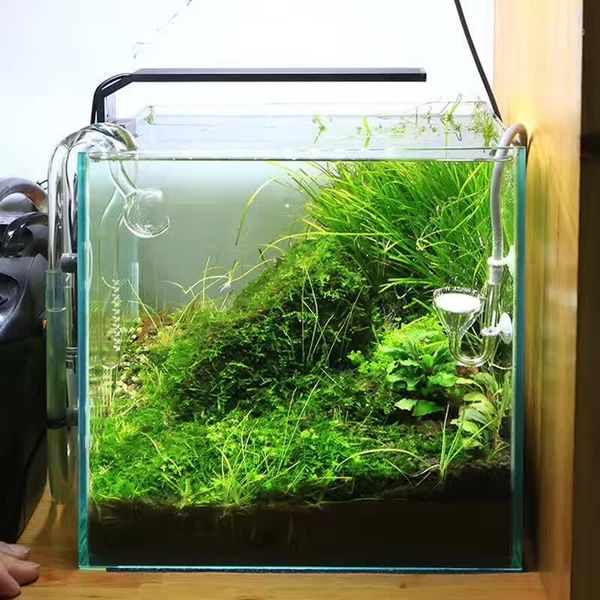 plant grow led light chihiros c series ada style mini clip aquarium water plant fish tank new arrived1
plant grow led light chihiros c series ada style mini clip aquarium water plant fish tank new arrived1