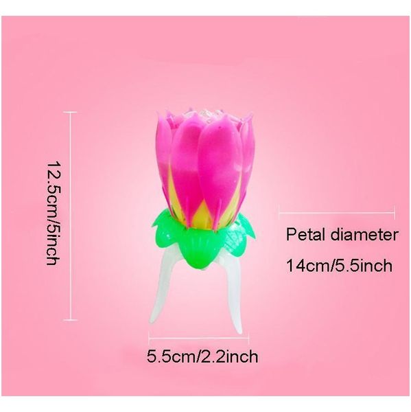 lotus music candle lotus singing birthday party cake music flash candle flower music candle cake accessories holiday jllhtk bdebag
lotus music candle lotus singing birthday party cake music flash candle flower music candle cake accessories holiday jllhtk bdebag