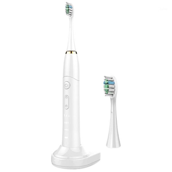 smart electric toothbrush sonic wave rechargeable chip head replaceable whitening healthy gift1
smart electric toothbrush sonic wave rechargeable chip head replaceable whitening healthy gift1