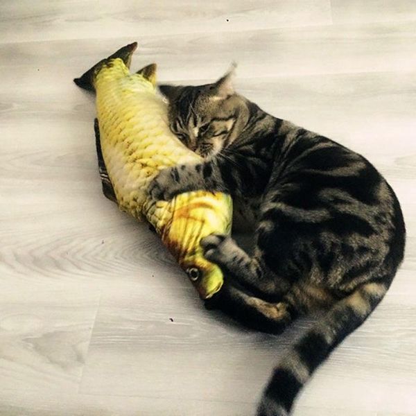 cat toys 1pcs grass carp fish shape pet kitten interactive cats chewing play fun cute lovely1
cat toys 1pcs grass carp fish shape pet kitten interactive cats chewing play fun cute lovely1