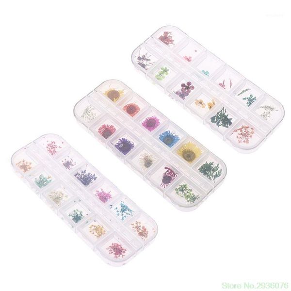 decorative flowers & wreaths 2021 12 colors 3d real dried decor for uv gel nail art design diy tips manicure ornaments1
decorative flowers & wreaths 2021 12 colors 3d real dried decor for uv gel nail art design diy tips manicure ornaments1