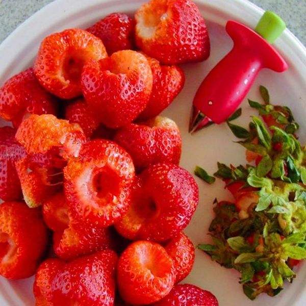 strawberry hullers metal plastic fruit leaf remover gadget tomato stalks strawberry knife stem remover kitchen cook bbycla
strawberry hullers metal plastic fruit leaf remover gadget tomato stalks strawberry knife stem remover kitchen cook bbycla
