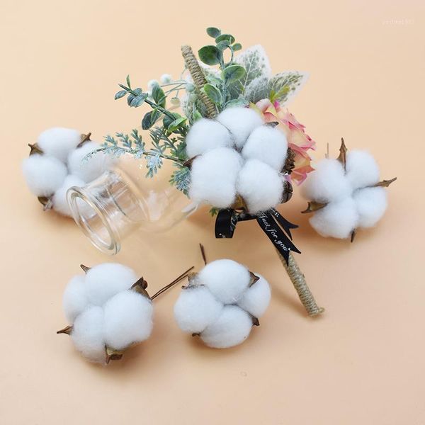 5pcs white cotton dried flowers christmas decorations for home diy gifts wedding bride holding flower material artificial flower1
5pcs white cotton dried flowers christmas decorations for home diy gifts wedding bride holding flower material artificial flower1