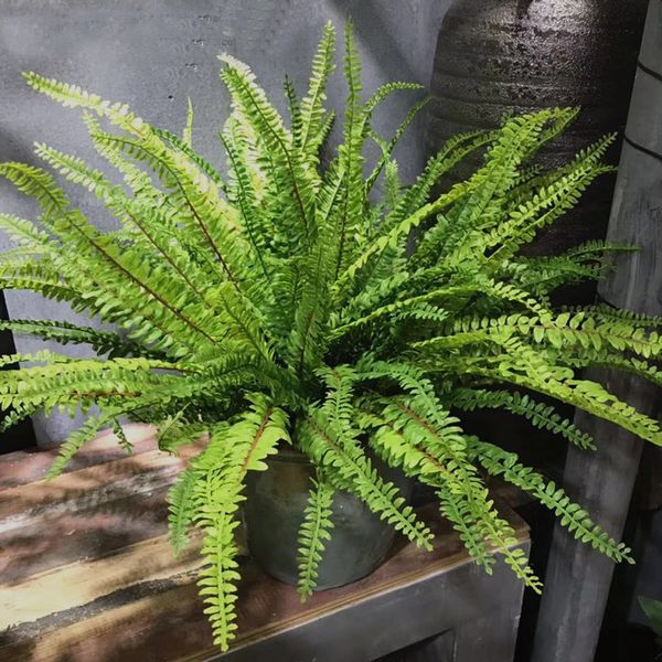 garden fake grass green plant pot plant hanging row grass artificial fern leaf persian leaves home wedding party shop decor 1029
garden fake grass green plant pot plant hanging row grass artificial fern leaf persian leaves home wedding party shop decor 1029