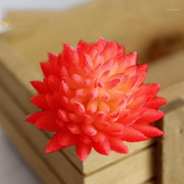 green purple red white blue flocking artificial succulents plants mini plants decoration deskhome bonsai garden plastic l5e61
green purple red white blue flocking artificial succulents plants mini plants decoration deskhome bonsai garden plastic l5e61