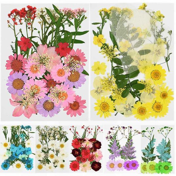 small dried flowers preserved flowers scrapbooking dry diy preserved plant decoration party home garden dried flores supplies 8z1
small dried flowers preserved flowers scrapbooking dry diy preserved plant decoration party home garden dried flores supplies 8z1