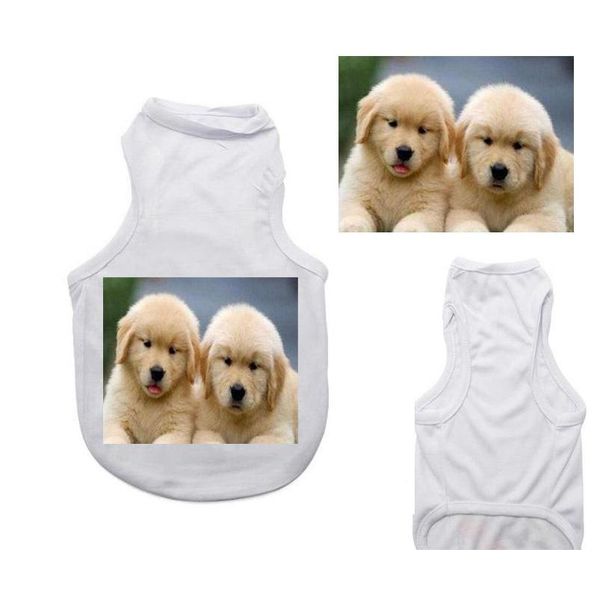 50pcs sublimation blank white clothing diy pet dog t shirt for small pet heat transfer print rl5iy
50pcs sublimation blank white clothing diy pet dog t shirt for small pet heat transfer print rl5iy